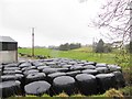 Silage bales, Merchantstown Glebe