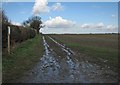 Permissive path north of Grantchester