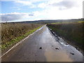 Woolland, country lane