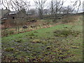 Farm Buildings, Bank Foot