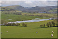 Fields by the Afon Teifi