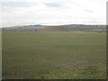 View across Otby Moor towards the Lincolnshire Wolds