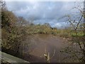 River Exe north of Brampford Speke