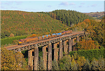 SX1764 : Freight Train at St Pinnock by Wayland Smith