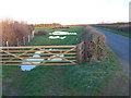 SY8586 : Field gate near Bindon Abbey by Nigel Mykura