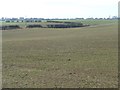 Farmland in a shallow valley, west of the A61