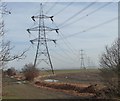 SE3410 : Pylons heading east, near Athersley North by Christine Johnstone