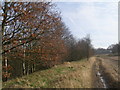 Footpath west of Brierley Tunnel