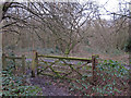 Mossy Gate in Lincewood, Langdon Nature Reserve