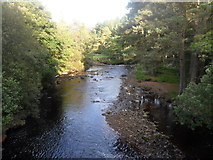 NY9549 : River Derwent downstream from Baybridge by Anthony Foster