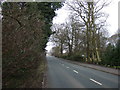 Newton Road (A49)