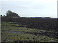 Farmland off Newton Lane