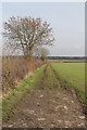 Bridleway off Laxton Road