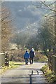 Walkers on the Manifold Way