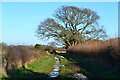 Footpath near Upper Pennington