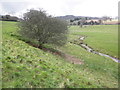 Meandering stream, Nettlecombe Park