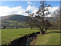 SO2828 : Stream in the Vale of Ewyas by Gareth James