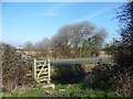 Footbridge near St. Brides Wentlooge