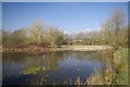 Rushley Park Pond