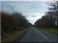 Thick hedges on the top of Exton Hill