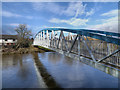 Footbridge Over the River Nith