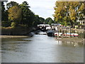 The River Brent flows into the Thames