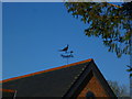 SU2945 : Weather vane on footpath off Wiremead Lane by Shazz