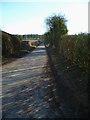 Hay Down Lane looking south (1)