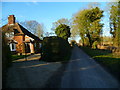 Hay Down Lane looking north from dwelling