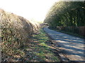 The lane from Temple Guiting