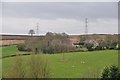 Taunton Deane District : Grassy Countryside