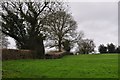 Taunton Deane District : Grassy Field