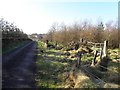 Cloghglass Road, Loughmacrory