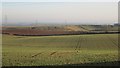 Arable land near Duns