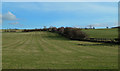 Farmland View