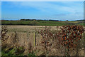 Farmland View