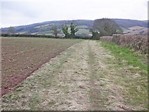 ST0638 : Field margin near Woodford by Roger Cornfoot