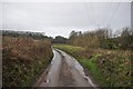 Taunton Deane District : Countryside Road