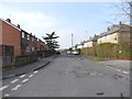 Fir Tree Approach - viewed from Fir Tree Green