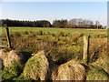 Mullaghslin Glebe Townland