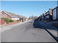 Knoll Park - looking towards Moor Knoll Lane