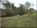 Bishopdale Beck