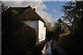 Mid Devon : Country Lane