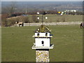 Dovecot at Truleigh Manor Farm