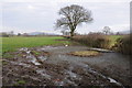 Muddy field corner