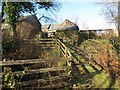 Llwybr Berth Ifan Path, Crai