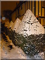 Snow-covered hedges, Hoop Lane NW11