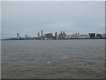 SJ3389 : Liverpool skyline from Mersey Ferry by Richard Hoare