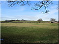 Pasture by Cow Dyke Farm