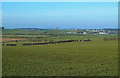 Farmland View